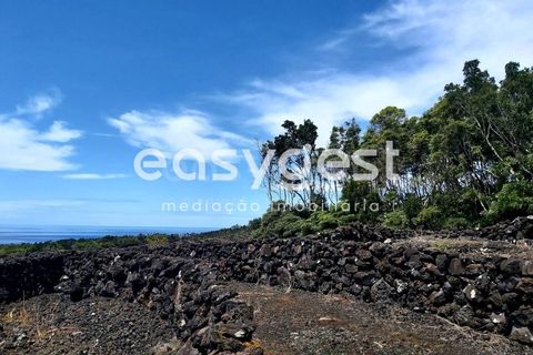 Helårsgrund i Sao Mateus, Graciosa, Sao Mateus - € 125.000 | Ref: AZ88425FR - foto 8