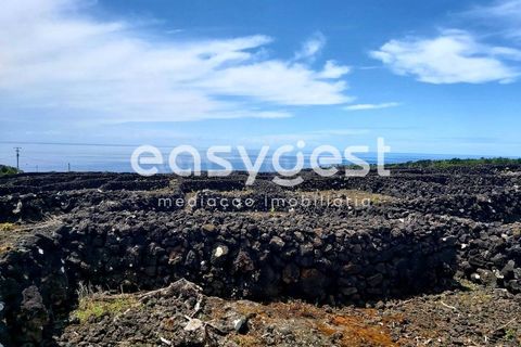 Helårsgrund i Sao Mateus, Graciosa, Sao Mateus - € 125.000 | Ref: AZ88425FR - foto 10
