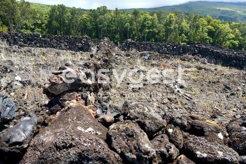 Helårsgrund i Sao Mateus, Graciosa, Sao Mateus - € 125.000 | Ref: AZ88425FR - foto 11