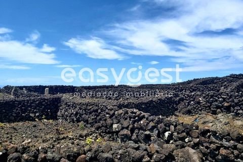 Helårsgrund i Sao Mateus, Graciosa, Sao Mateus - € 125.000 | Ref: AZ88425FR - foto 13