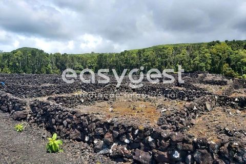 Helårsgrund i Sao Mateus, Graciosa, Sao Mateus - € 125.000 | Ref: AZ88425FR - foto 16