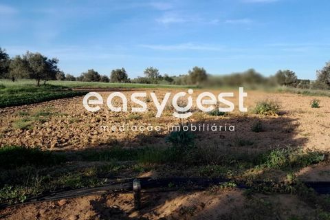 Tomt i Beja, Beja, Beja - € 415 000 | Ref: BJ88375 - foto 31