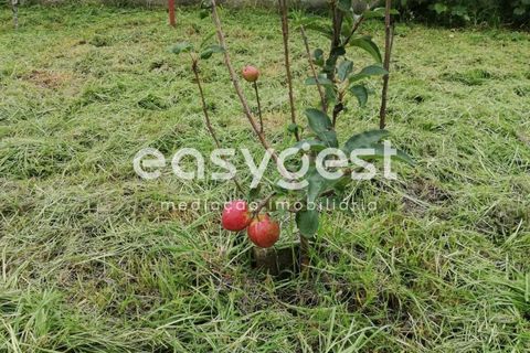Villa i Fontinhas, Terceira, Fontinhas - € 299.000 | Ref: AZ64861MS - foto 21