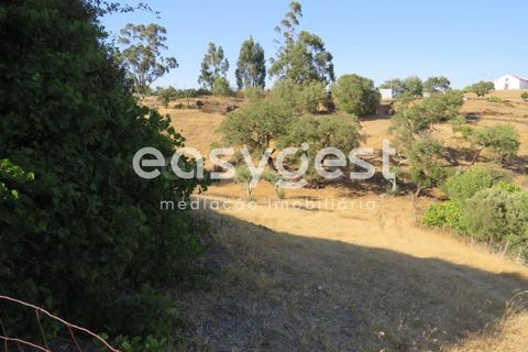 Farm hus i Almodovar, Beja, Almodovar - € 47.000 | Ref: BJ63148AJ - foto 3