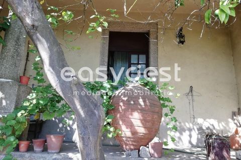 Villa i Alpedrinha, Castelo Branco, Alpedrinha - € 266.500 | Ref: CB59888MA - foto 41