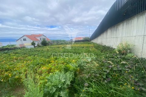 Terra em Calheta, Sao Jorge, Calheta - € 55.000 | Ref: 061820 - foto 4