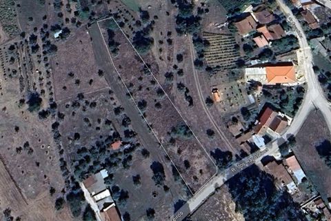 Helårsgrund i Pombal, Leiria, Pombal - € 50.000 | Ref: MHI353 - foto 4