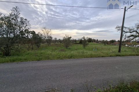 Helårsgrund i Pombal, Leiria, Pombal - € 50.000 | Ref: MHI353 - foto 6