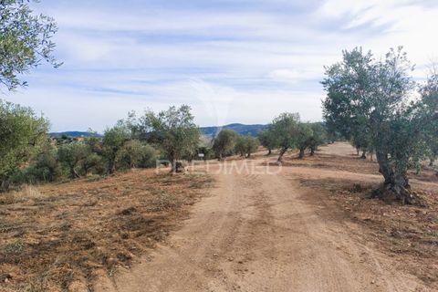 Farm hus i Portel, Evora, Portel - € 160.000 | Ref: 060618 - foto 9