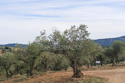 Farm hus i Portel, Evora, Portel - € 160.000 | Ref: 060618 - foto 10