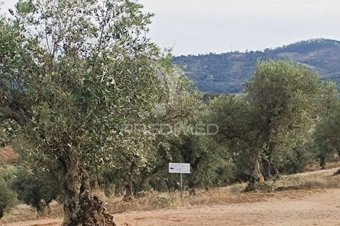 Farm hus i Portel, Evora, Portel - € 160.000 | Ref: 060618 - foto 11