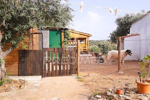 Farm hus i Portel, Evora, Portel - € 160.000 | Ref: 060618 - foto 19