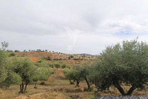 Farm hus i Portel, Evora, Portel - € 160.000 | Ref: 060618 - foto 29