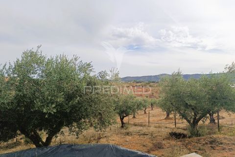 Farm hus i Portel, Evora, Portel - € 160.000 | Ref: 060618 - foto 30