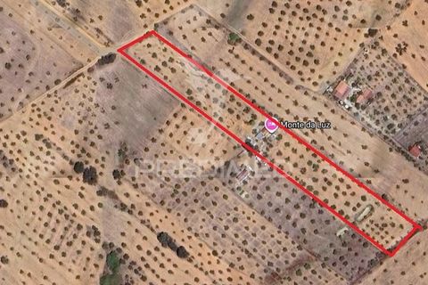 Farm hus i Portel, Evora, Portel - € 160.000 | Ref: 060618 - foto 32