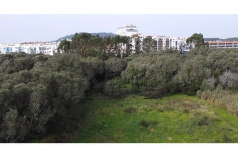 Helårsgrund i Sintra, Lisbon, Sintra - € 1.775.000 | Ref: ADV_128 - foto 6