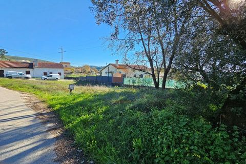 Helårsgrund i Pombal, Leiria, Pombal - € 39.900 | Ref: MTJL3026 - foto 2