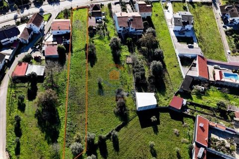 Helårsgrund i Pombal, Leiria, Pombal - € 150.000 | Ref: MTJL3024 - foto 2