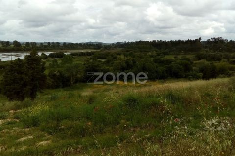 Terra a Vila Nova de Ancos, Coimbra, Vila Nova de Ancos - € 50.000 | Ref: ZMPT540147 - foto 2