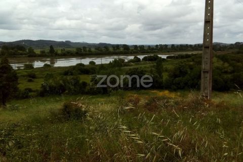 Terra a Vila Nova de Ancos, Coimbra, Vila Nova de Ancos - € 50.000 | Ref: ZMPT540147 - foto 7