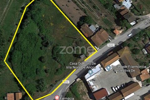 Terra a Vila Nova de Ancos, Coimbra, Vila Nova de Ancos - € 50.000 | Ref: ZMPT540147 - foto 8