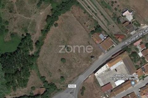 Terra a Vila Nova de Ancos, Coimbra, Vila Nova de Ancos - € 50.000 | Ref: ZMPT540147 - foto 9