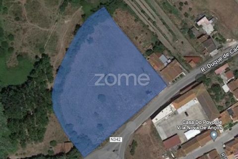 Terra a Vila Nova de Ancos, Coimbra, Vila Nova de Ancos - € 50.000 | Ref: ZMPT540147 - foto 10