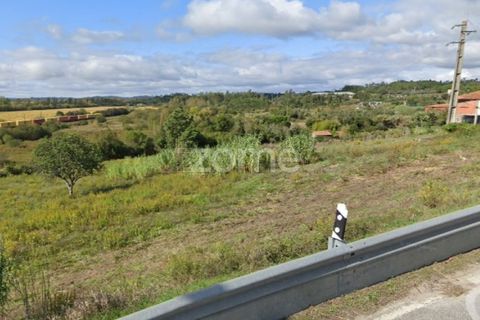 Terra a Vila Nova de Ancos, Coimbra, Vila Nova de Ancos - € 50.000 | Ref: ZMPT540147 - foto 12