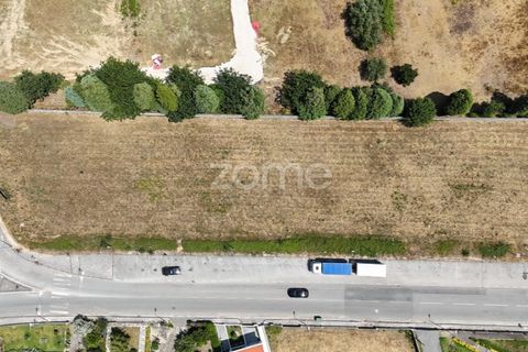 Terra a Mealhada, Aveiro, Mealhada - € 38.000 | Ref: ZMPT574309 - foto 11