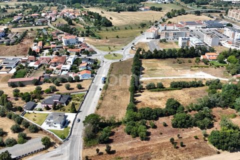 Terra a Mealhada, Aveiro, Mealhada - € 38.000 | Ref: ZMPT574309 - foto 12
