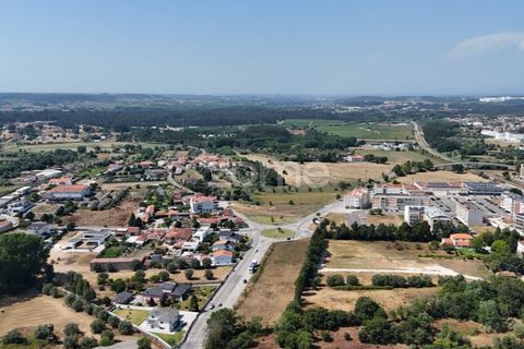 Terra a Mealhada, Aveiro, Mealhada - € 38.000 | Ref: ZMPT574309 - foto 13
