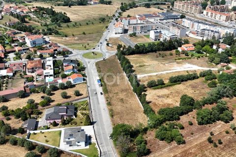 Terra a Mealhada, Aveiro, Mealhada - € 38.000 | Ref: ZMPT574309 - foto 14