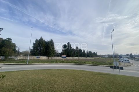Terra a Mealhada, Aveiro, Mealhada - € 38.000 | Ref: ZMPT574309 - foto 16