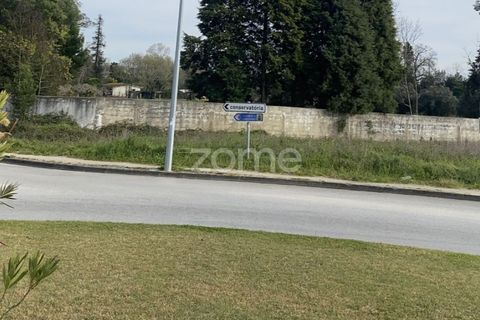 Terra a Mealhada, Aveiro, Mealhada - € 38.000 | Ref: ZMPT574309 - foto 17