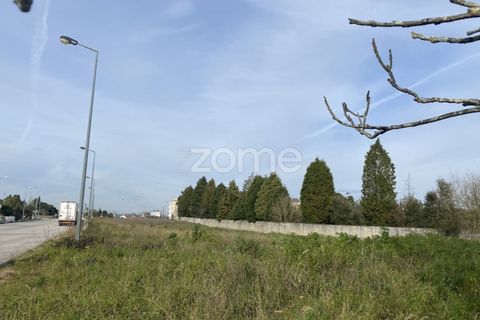 Terra a Mealhada, Aveiro, Mealhada - € 38.000 | Ref: ZMPT574309 - foto 20
