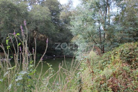 Helårsgrund i Viseu, Viseu, Viseu - € 26.500 | Ref: ZMPT572869 - foto 8
