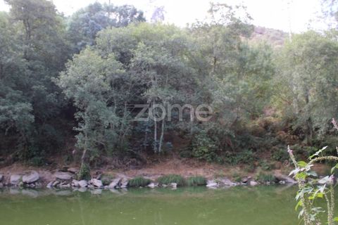 Helårsgrund i Viseu, Viseu, Viseu - € 26.500 | Ref: ZMPT572869 - foto 9
