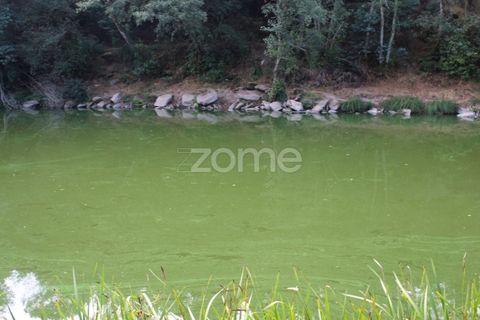 Helårsgrund i Viseu, Viseu, Viseu - € 26.500 | Ref: ZMPT572869 - foto 11