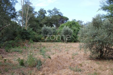 Helårsgrund i Viseu, Viseu, Viseu - € 26.500 | Ref: ZMPT572869 - foto 15