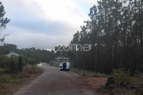 Helårsgrund i Pombal, Leiria, Pombal - € 32.500 | Ref: ZMPT570921 - foto 3