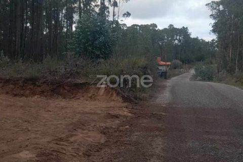 Helårsgrund i Pombal, Leiria, Pombal - € 32.500 | Ref: ZMPT570921 - foto 4