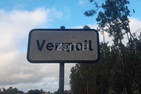 Helårsgrund i Pombal, Leiria, Pombal - € 32.500 | Ref: ZMPT570921 - foto 12