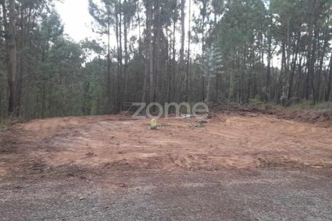 Helårsgrund i Pombal, Leiria, Pombal - € 32.500 | Ref: ZMPT570921 - foto 17