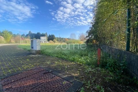 Helårsgrund i Vagos, Aveiro, Vagos - € 35.000 | Ref: ZMPT583904 - foto 10