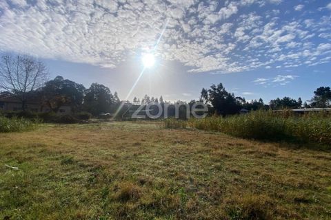 Helårsgrund i Vagos, Aveiro, Vagos - € 35.000 | Ref: ZMPT583904 - foto 12