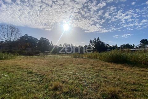Helårsgrund i Vagos, Aveiro, Vagos - € 35.000 | Ref: ZMPT583904 - foto 13
