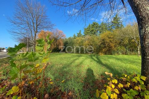 Helårsgrund i Vagos, Aveiro, Vagos - € 35.000 | Ref: ZMPT583904 - foto 16