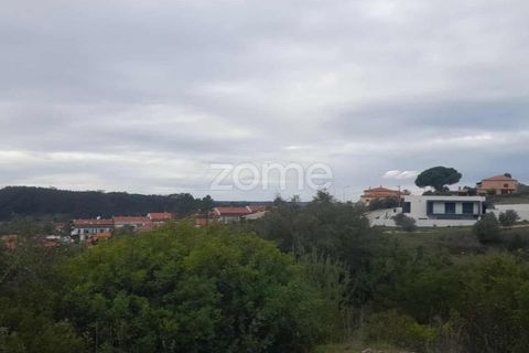 Helårsgrund i Pombal, Leiria, Pombal - € 32.500 | Ref: ZMPT582825 - foto 9