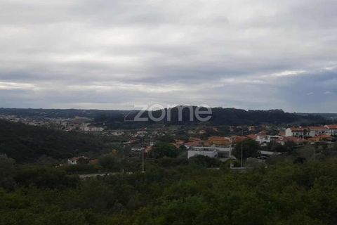Helårsgrund i Pombal, Leiria, Pombal - € 32.500 | Ref: ZMPT582825 - foto 10