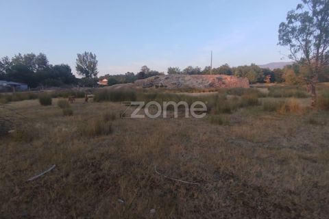 Helårsgrund i Seia, Guarda, Seia - € 1.000.000 | Ref: ZMPT579781 - foto 4